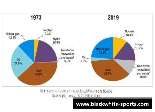 体育明星资源的多元化利用与开发潜力探讨