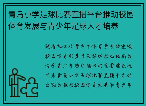 青岛小学足球比赛直播平台推动校园体育发展与青少年足球人才培养